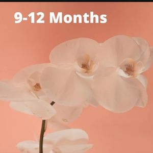 9- 12 Month Clothing